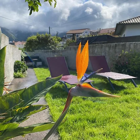 A Casa Do Ze